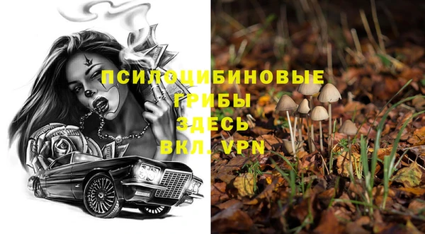 PSILOCYBIN Алзамай