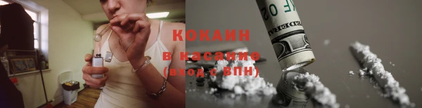 PSILOCYBIN Алзамай