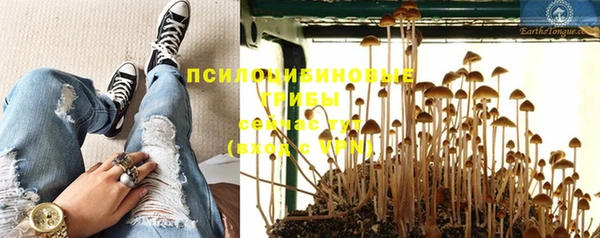 PSILOCYBIN Алзамай