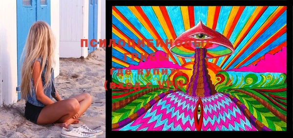 PSILOCYBIN Алзамай