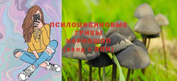 PSILOCYBIN Алзамай